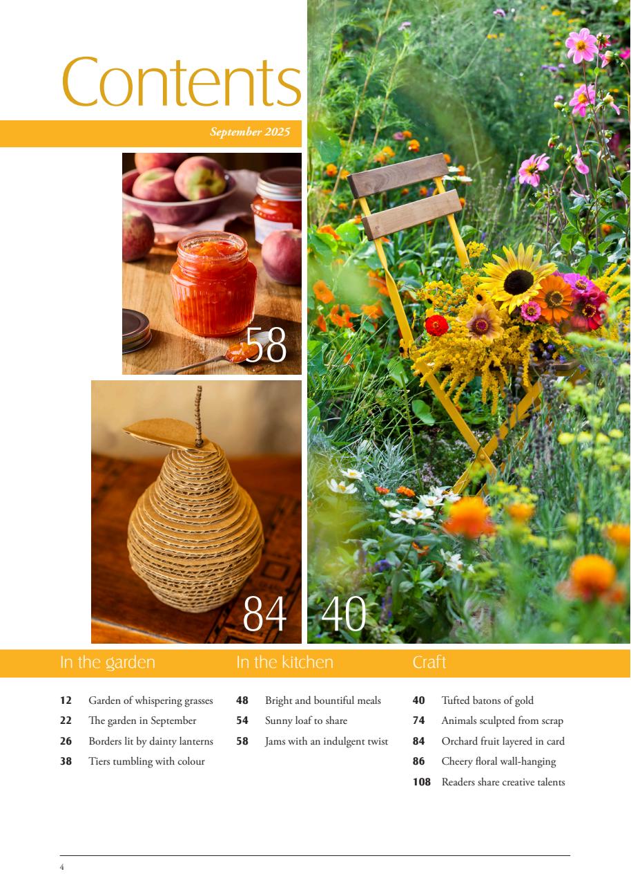 LandScape Preview Pages