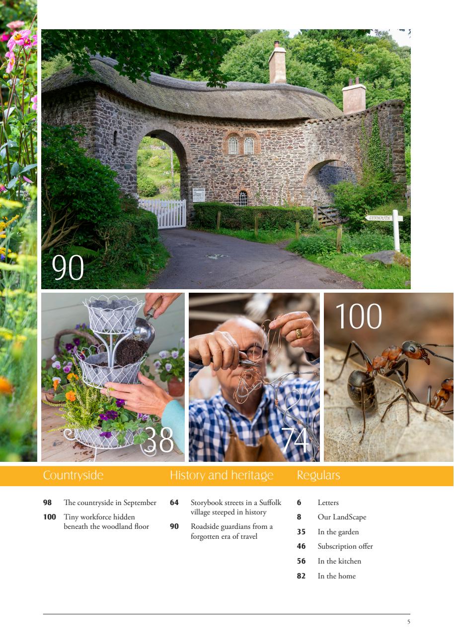 LandScape Preview Pages