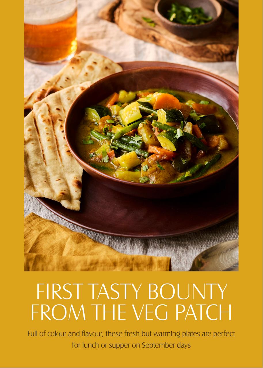 LandScape Preview Pages