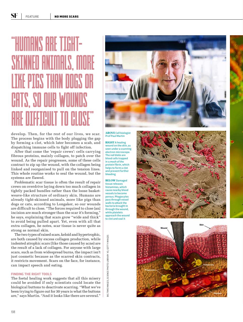 BBC Science Focus Magazine Preview Pages