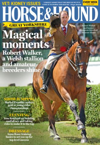 17 Jul 2025 issue 17 Jul 2025