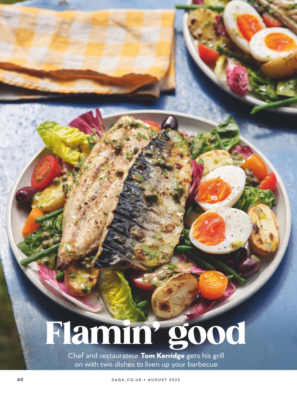 Saga Magazine Preview Pages