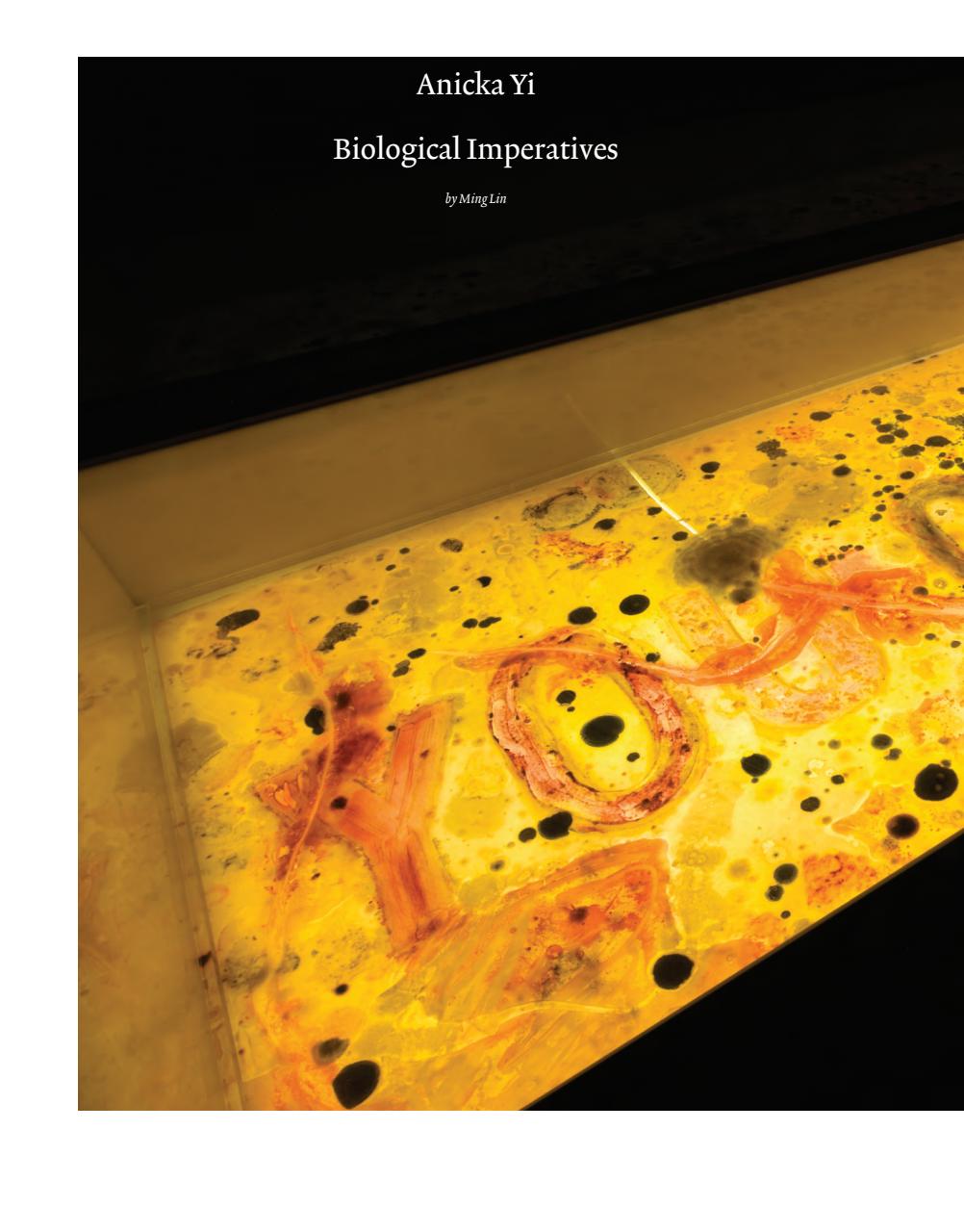 ArtReview Asia Preview Pages