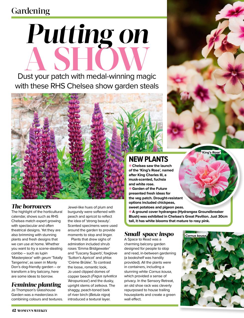 Woman's Weekly Preview Pages