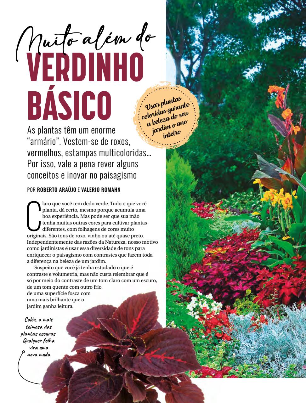 Natureza Preview Pages