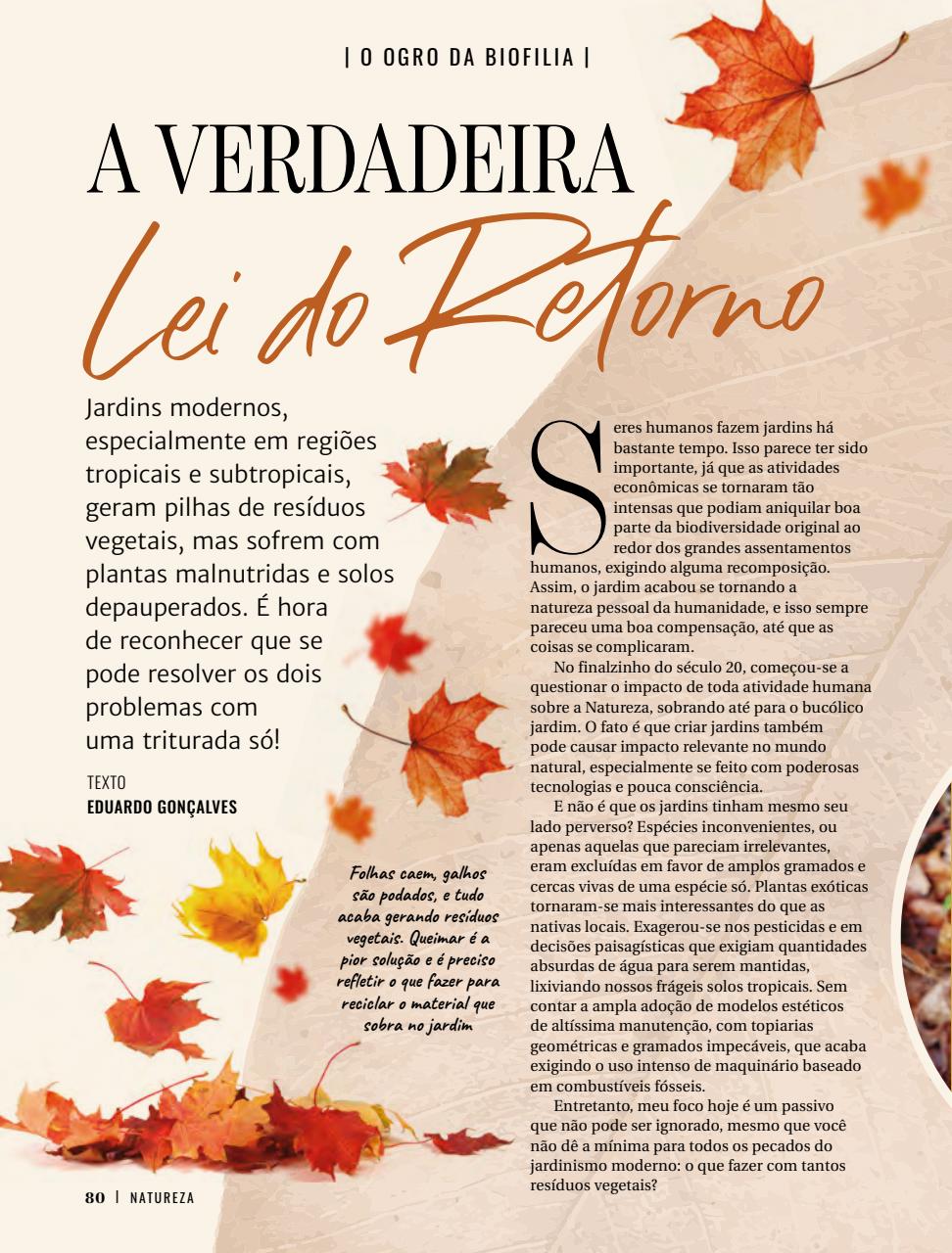 Natureza Preview Pages