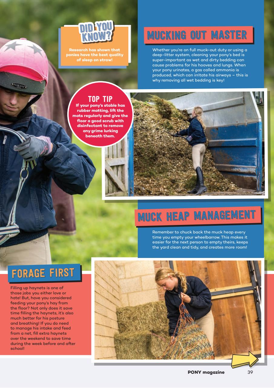 Pony Magazine Preview Pages