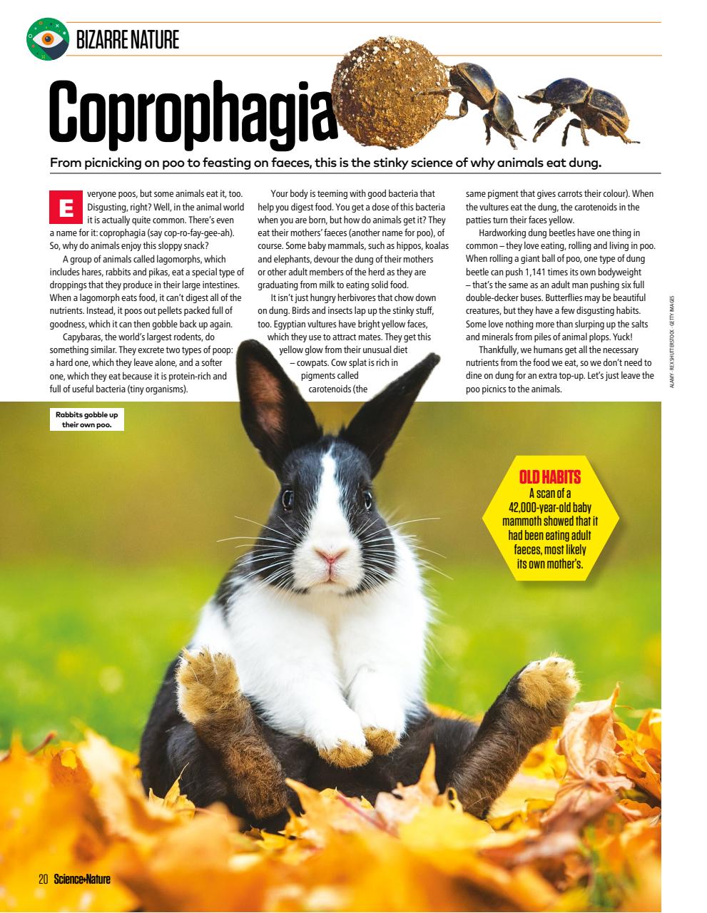 The Week Junior Bookazine Preview Pages