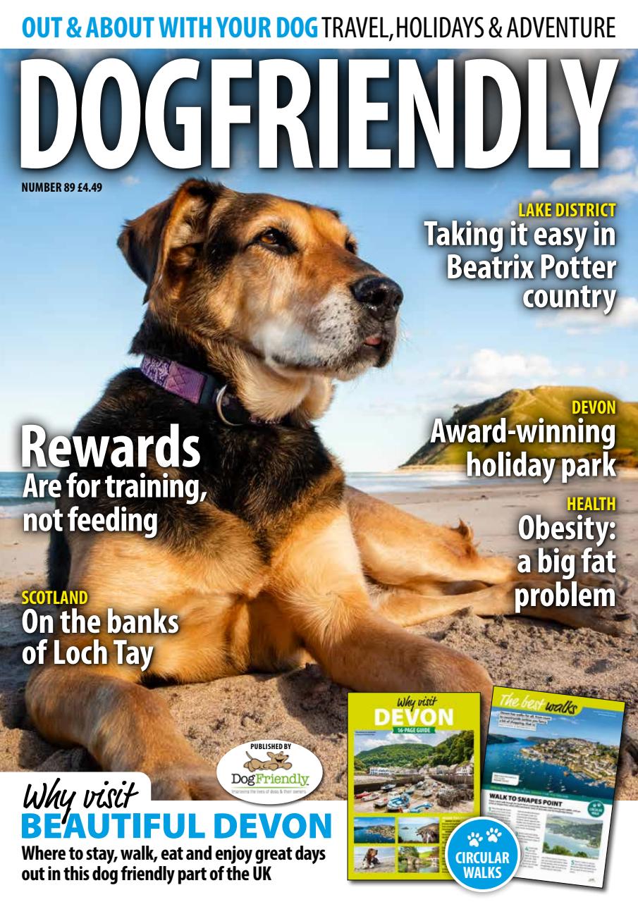 Dog Friendly Preview Pages