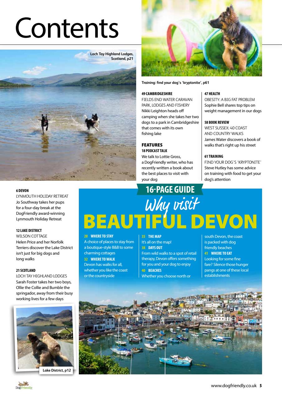 Dog Friendly Preview Pages