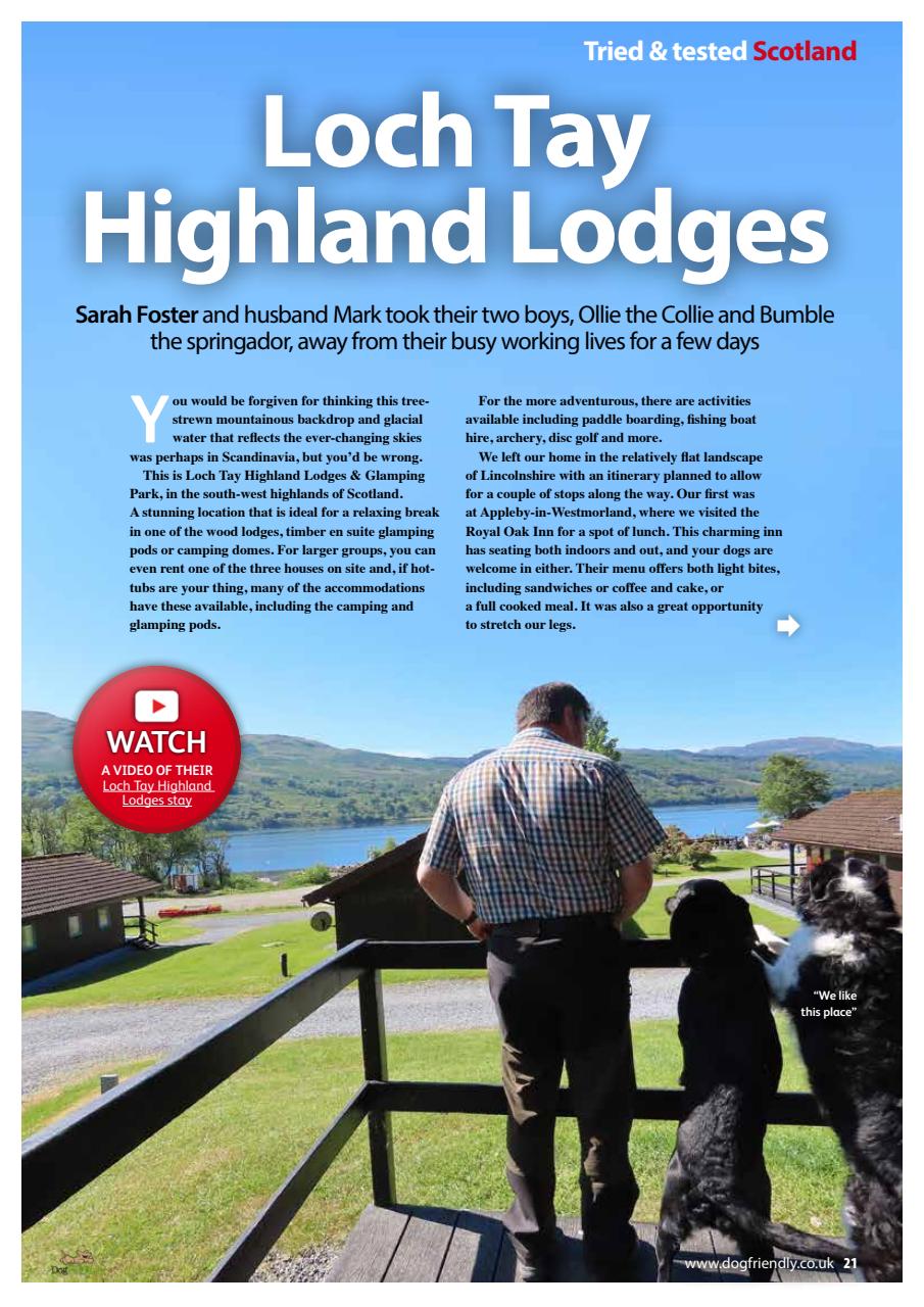 Dog Friendly Preview Pages