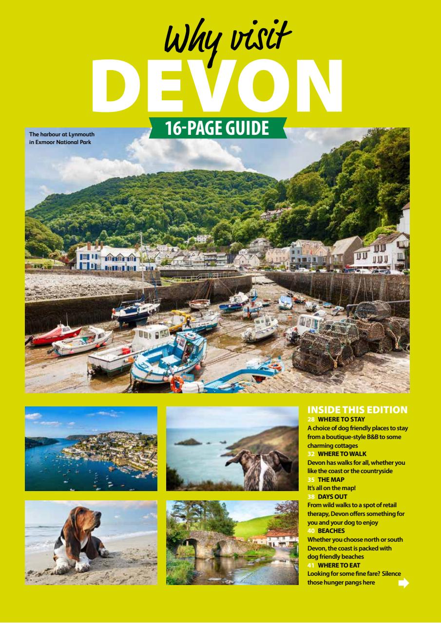 Dog Friendly Preview Pages