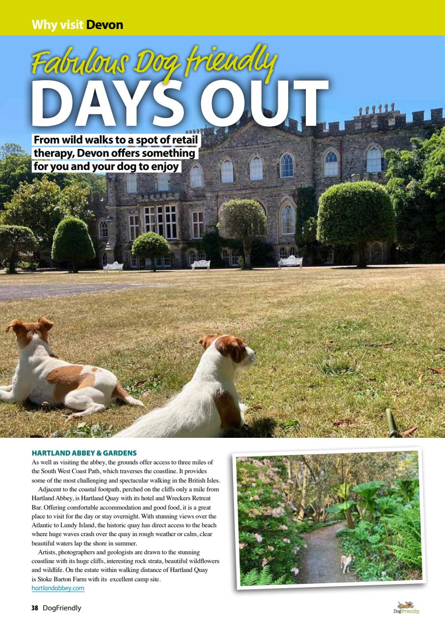 Dog Friendly Preview Pages