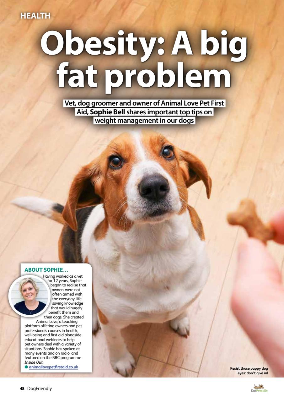 Dog Friendly Preview Pages