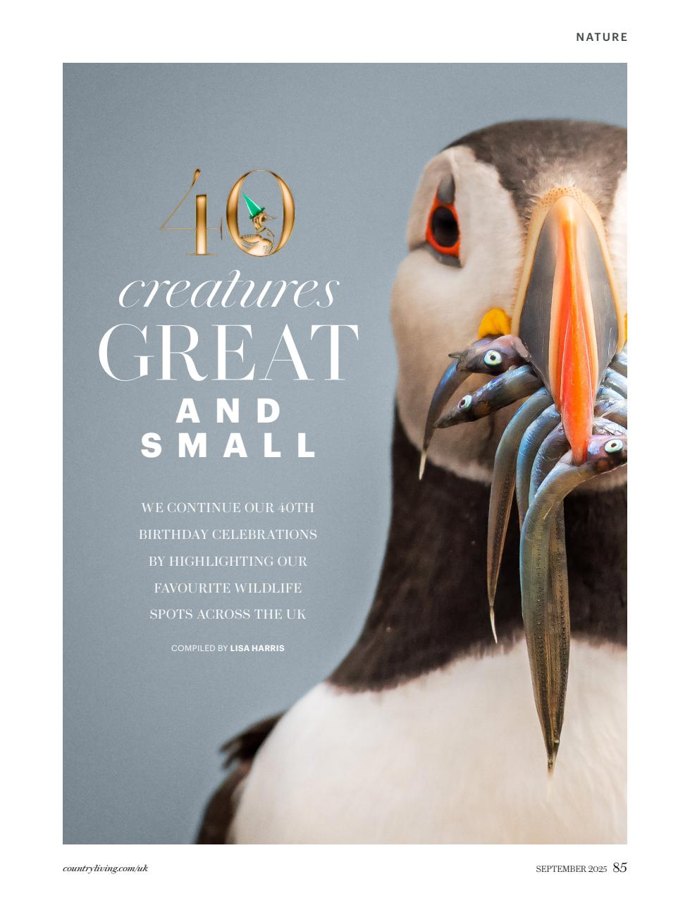 Country Living Preview Pages