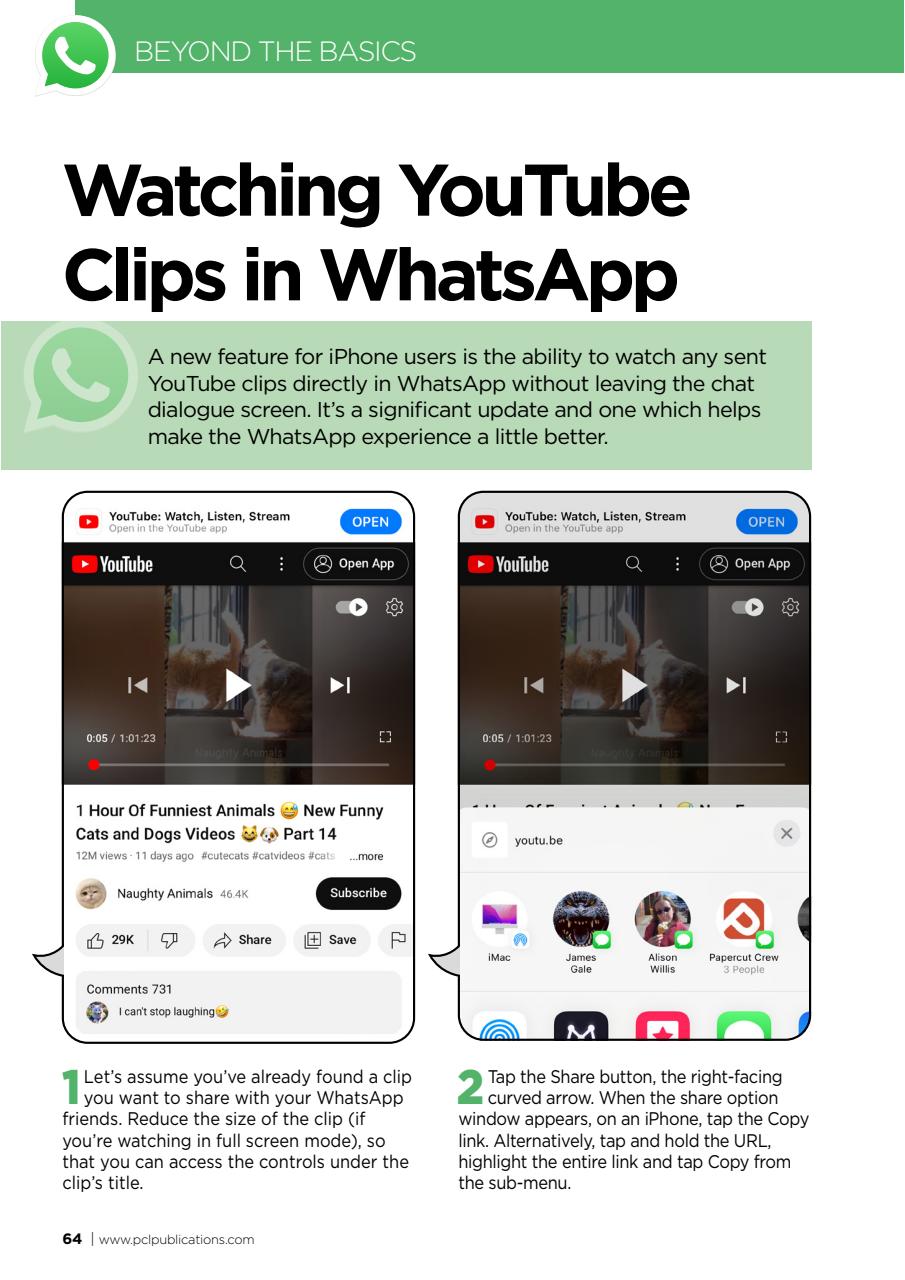 WhatsApp The Complete Manual Preview Pages