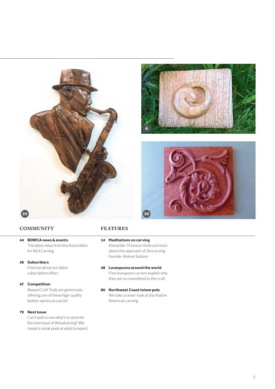Woodcarving Preview Pages