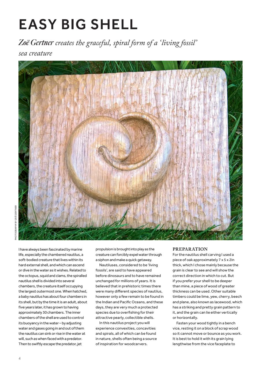 Woodcarving Preview Pages