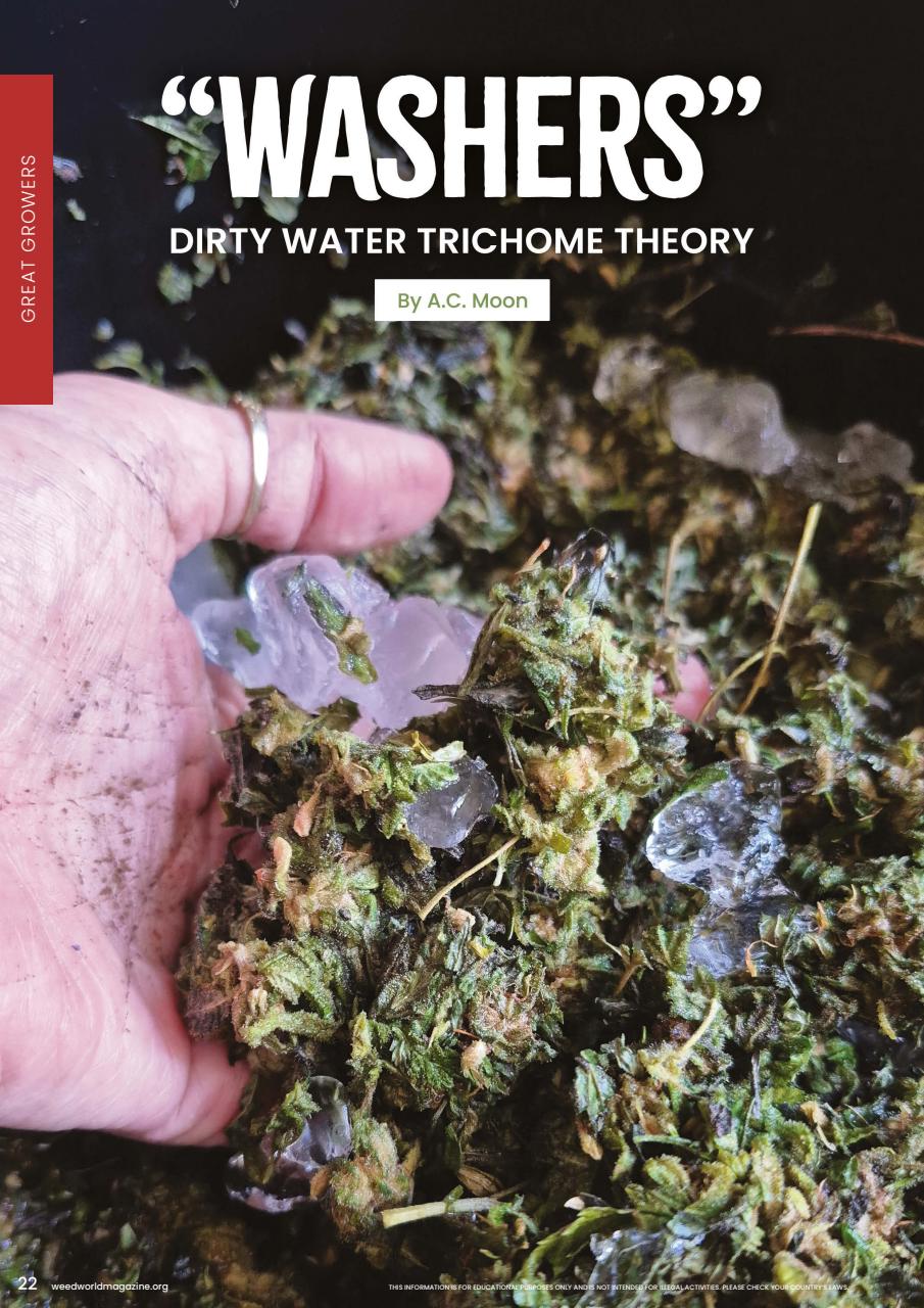 Weed World Preview Pages