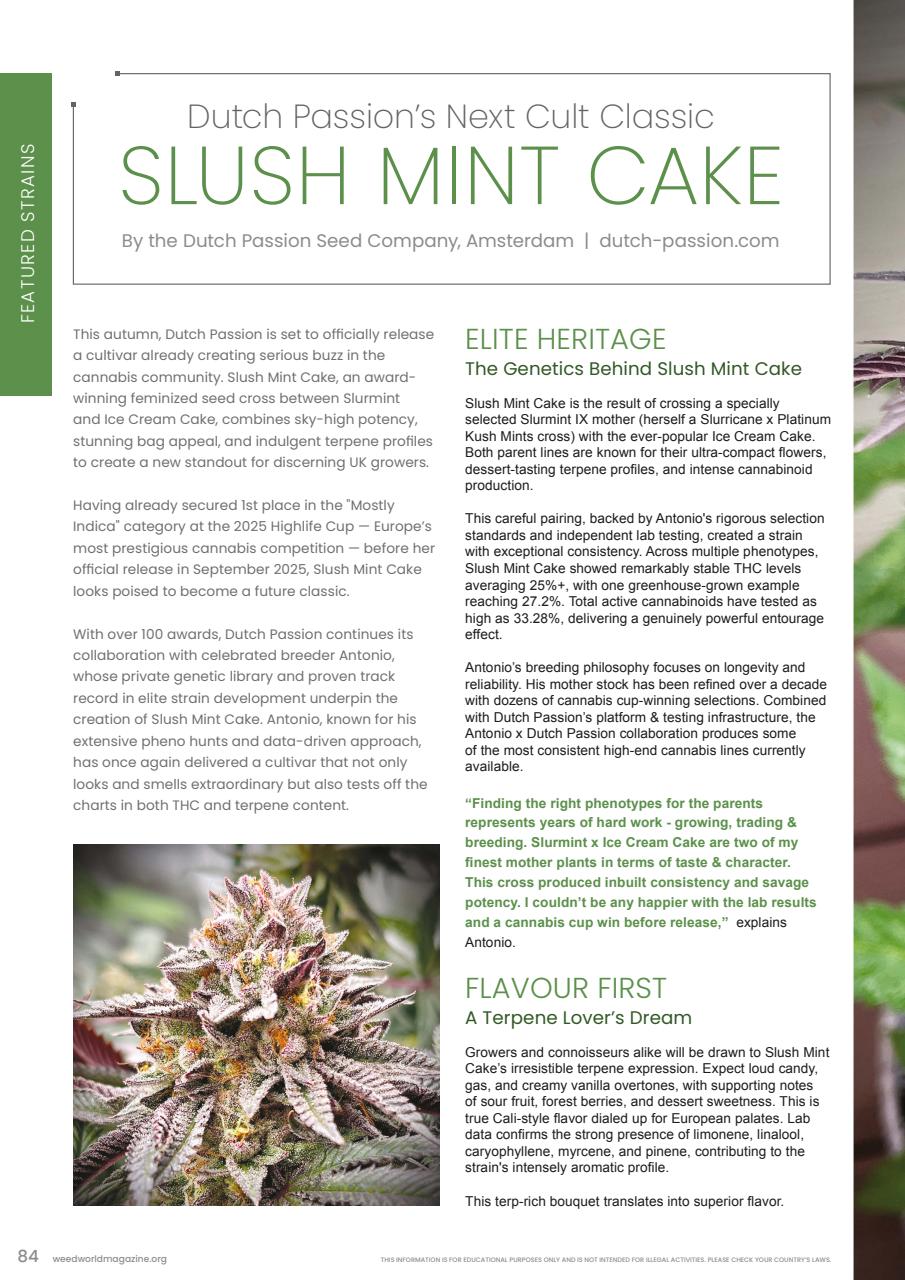 Weed World Preview Pages