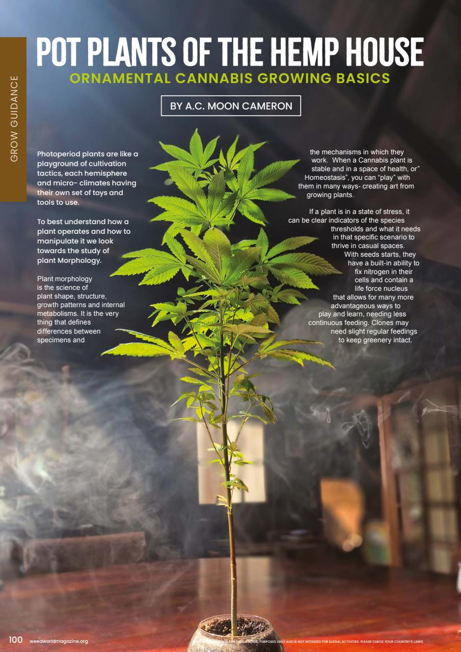 Weed World Preview Pages