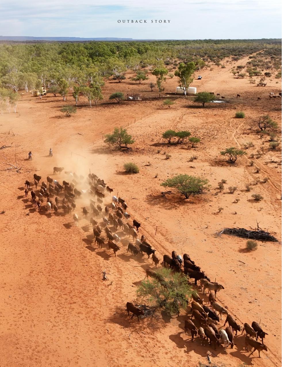 OUTBACK Magazine Preview Pages