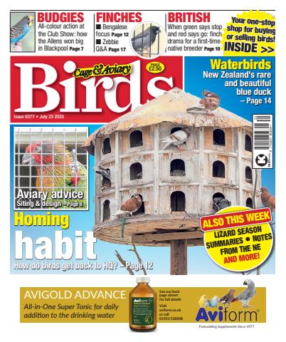 23th July 2025 issue 23th July 2025