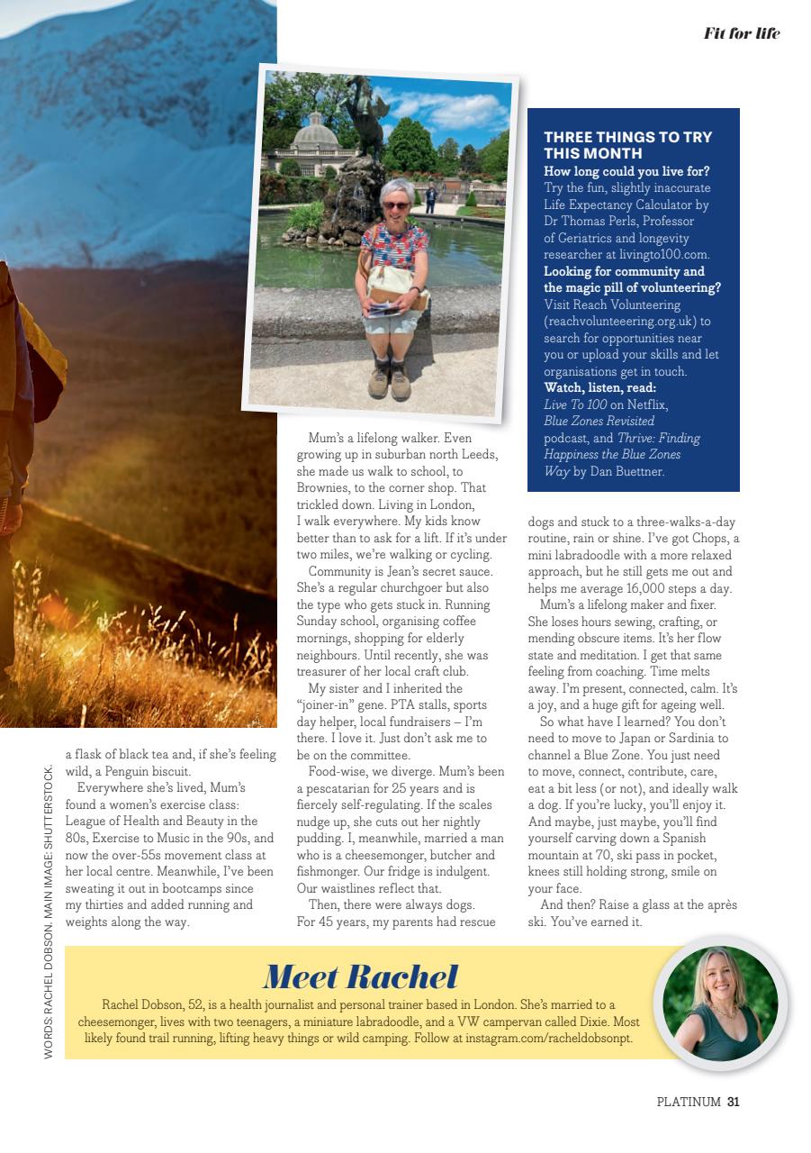 Platinum Preview Pages