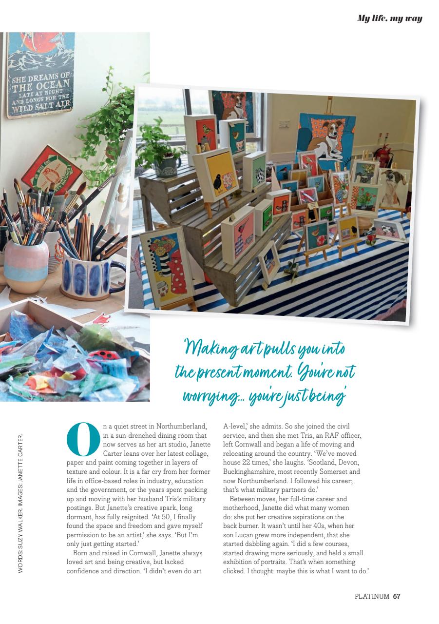 Platinum Preview Pages