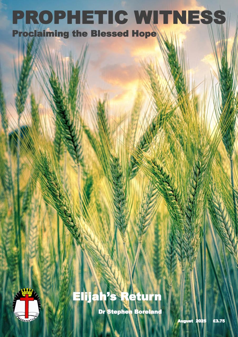 Prophetic Witness Preview Pages