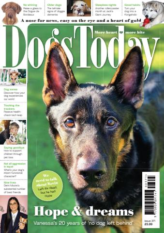 Dogs Today Magazine issue Issue 371