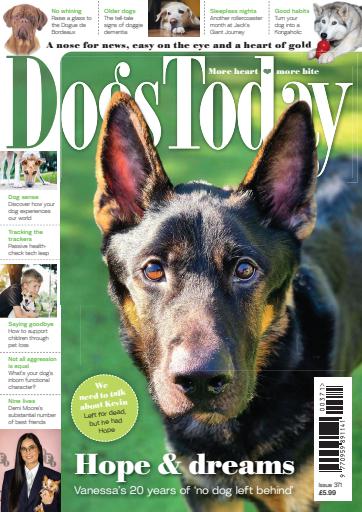 Dogs Today Magazine issue 