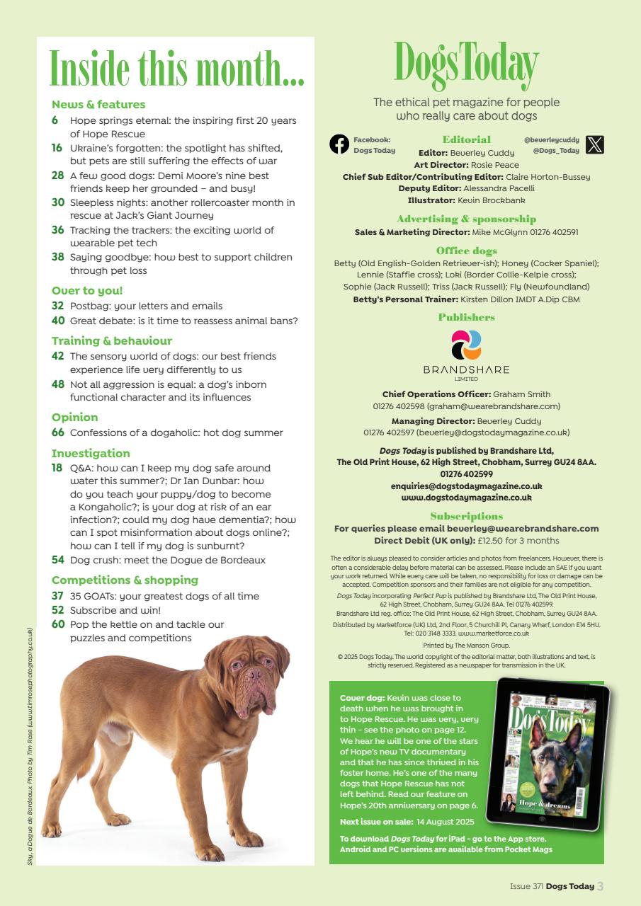 Dogs Today Magazine Preview Pages