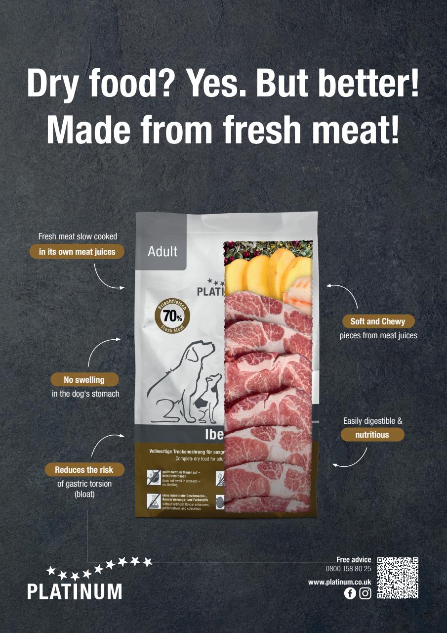 Dogs Today Magazine Preview Pages