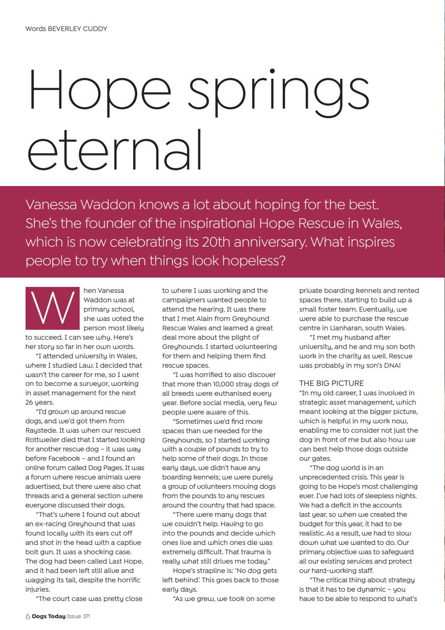 Dogs Today Magazine Preview Pages