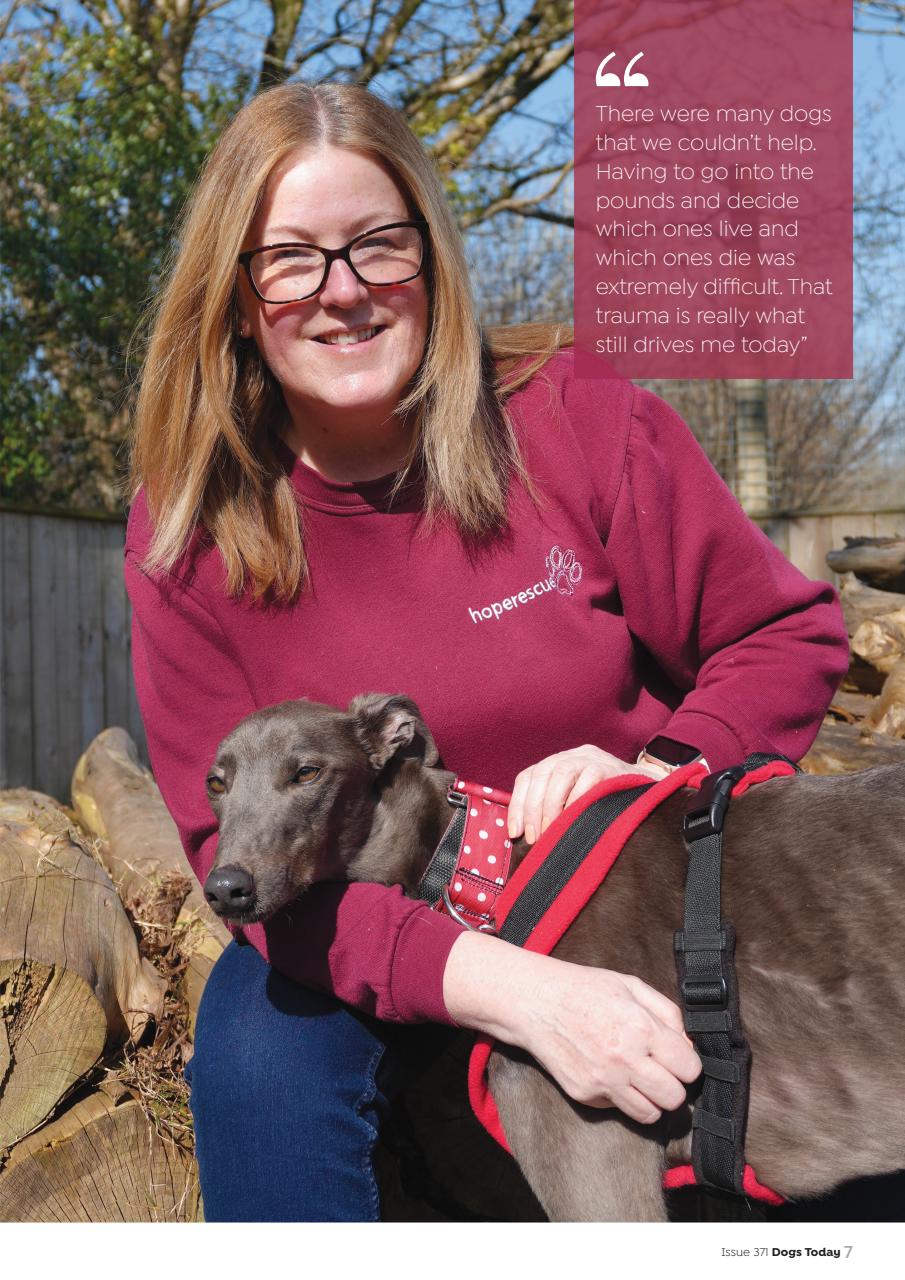 Dogs Today Magazine Preview Pages