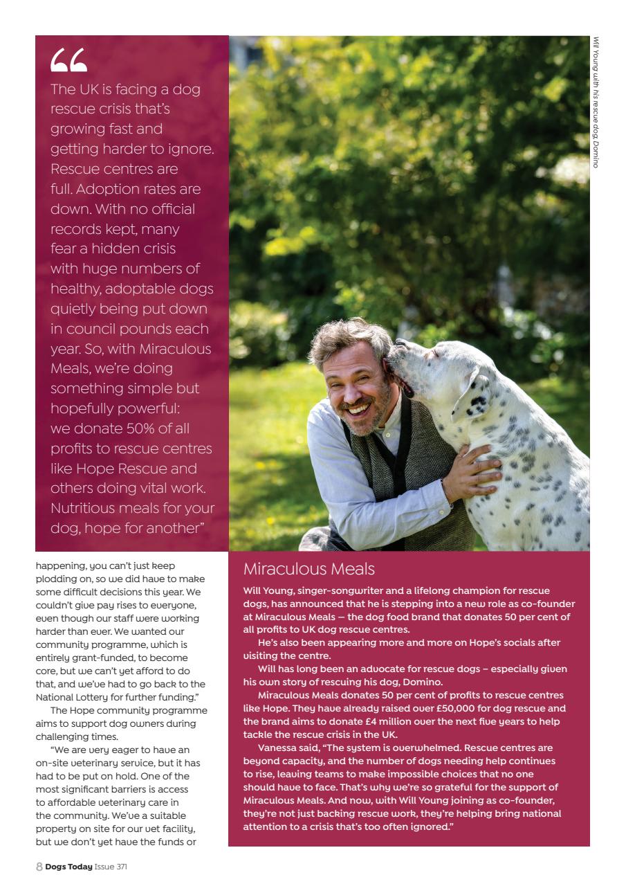 Dogs Today Magazine Preview Pages