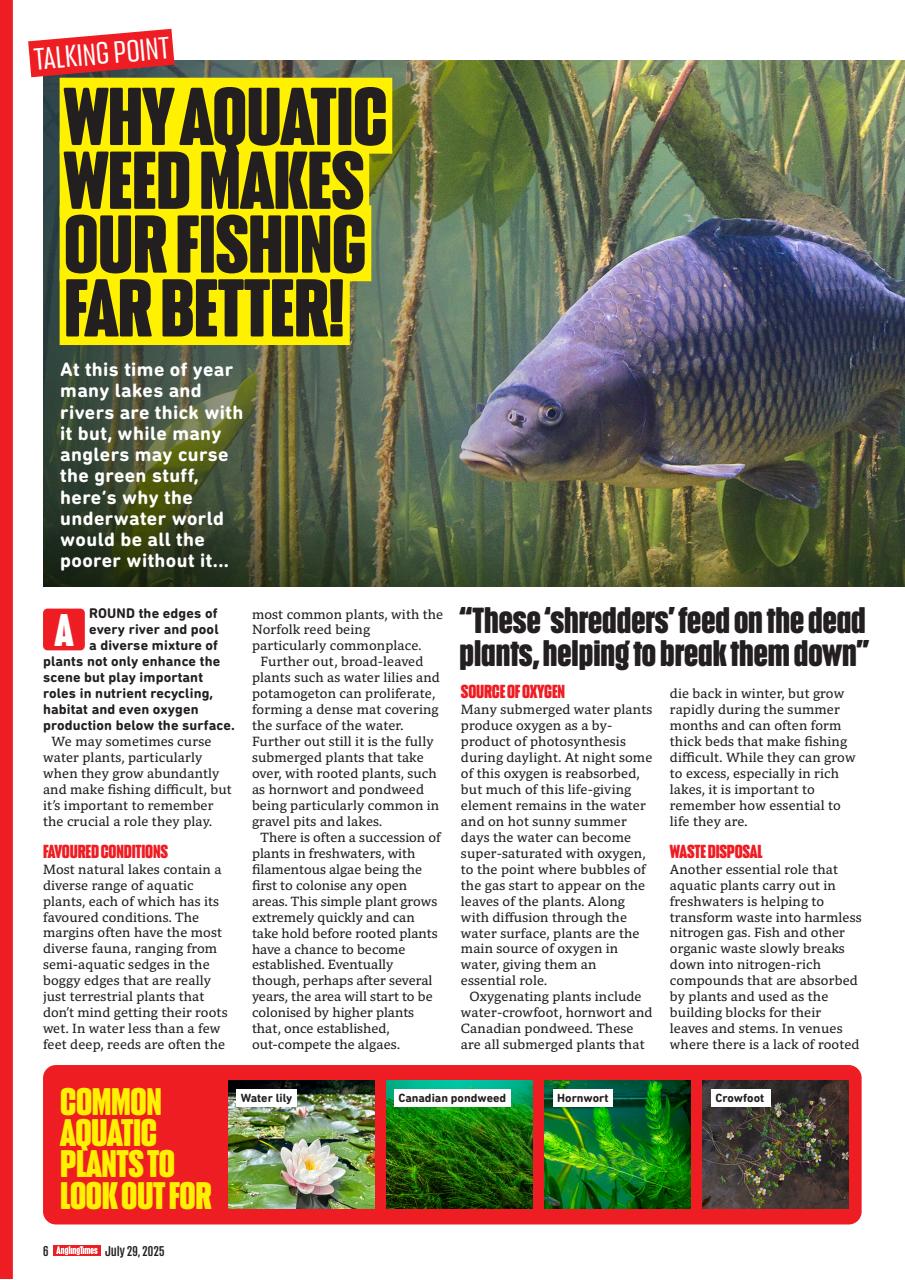 Angling Times Preview Pages