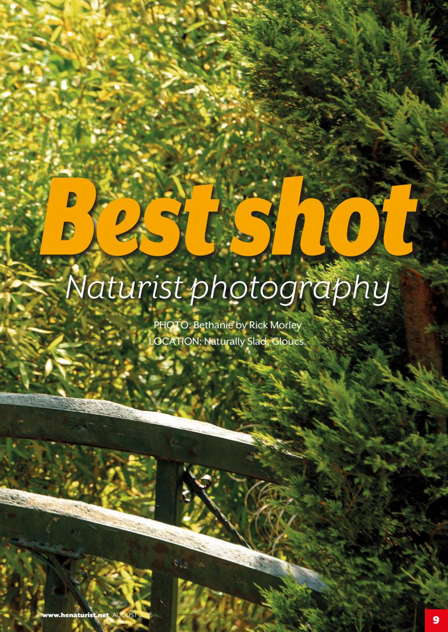 H&E naturist Preview Pages