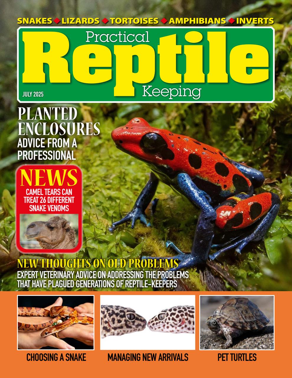 Practical Reptile Keeping Preview Pages