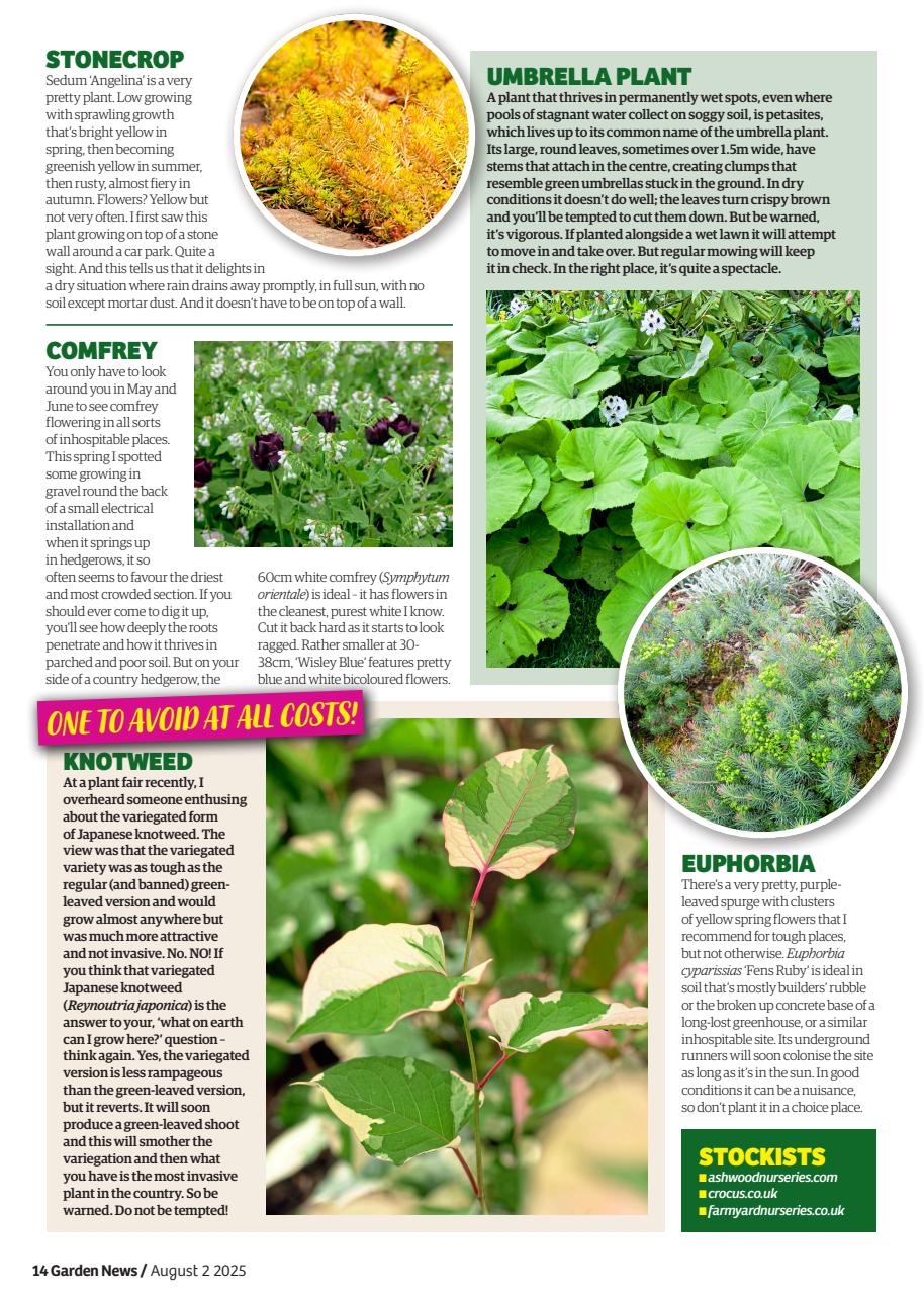 Garden News Preview Pages