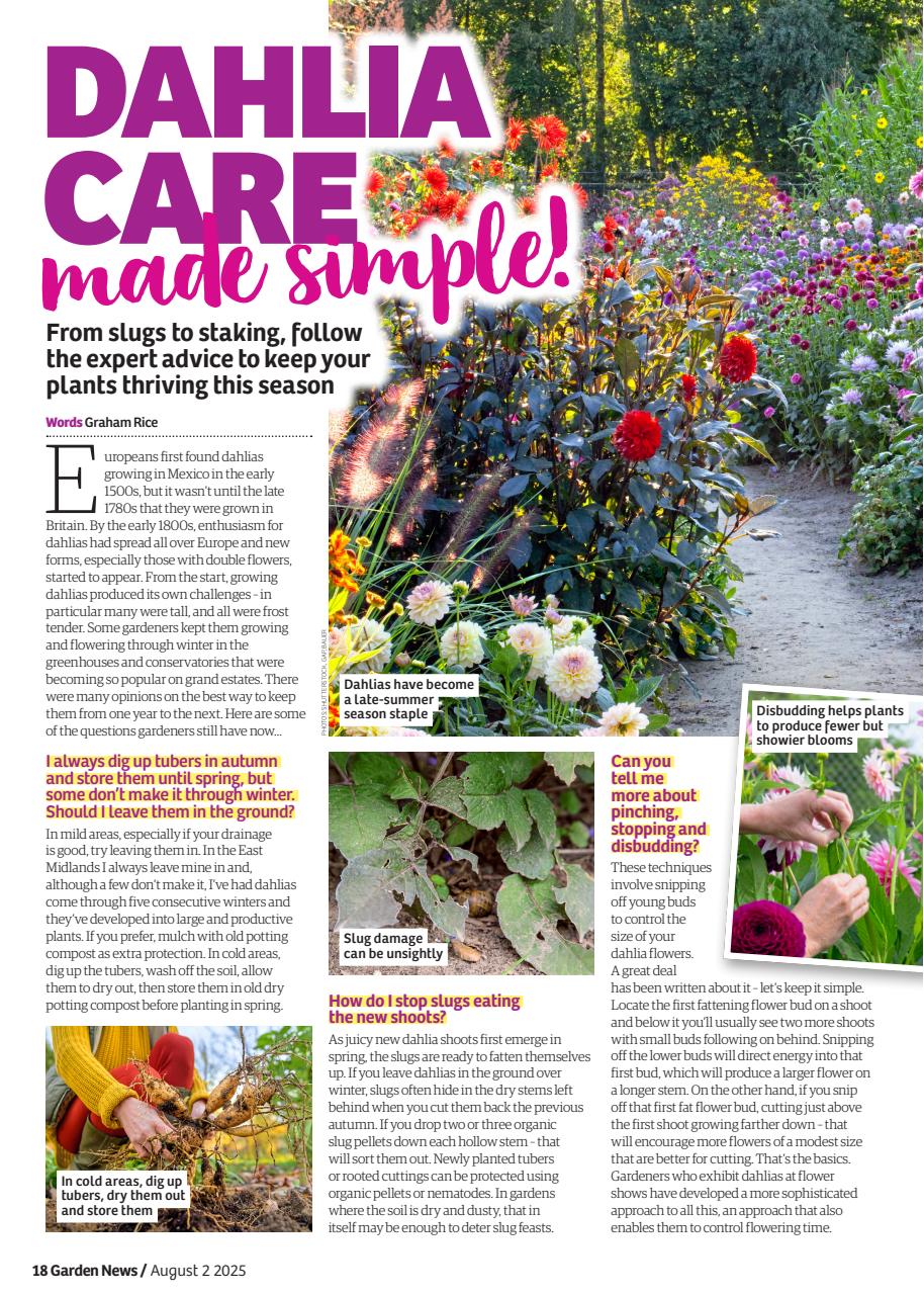 Garden News Preview Pages