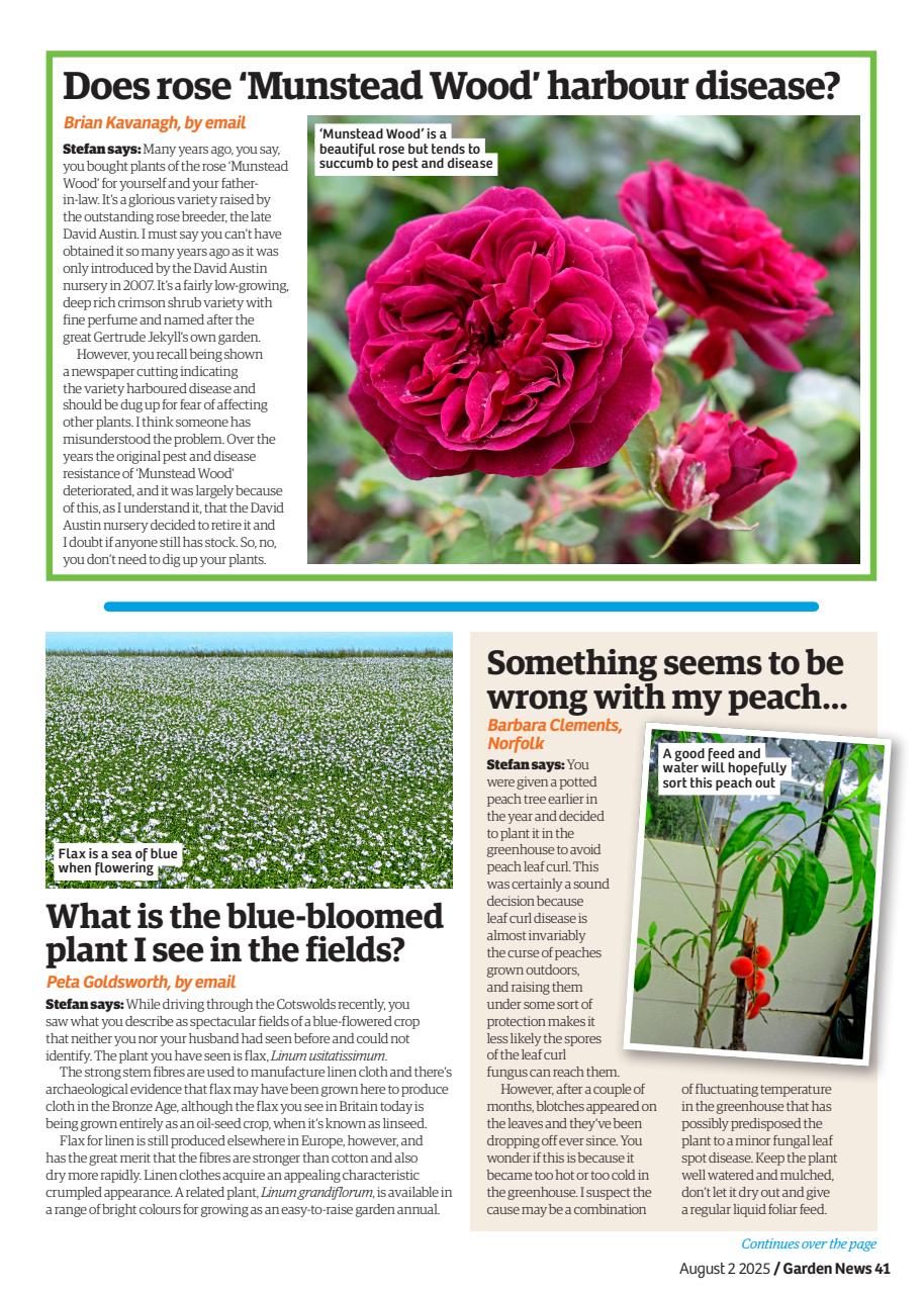 Garden News Preview Pages