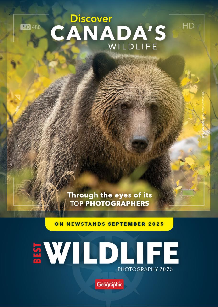 Canadian Geographic Preview Pages