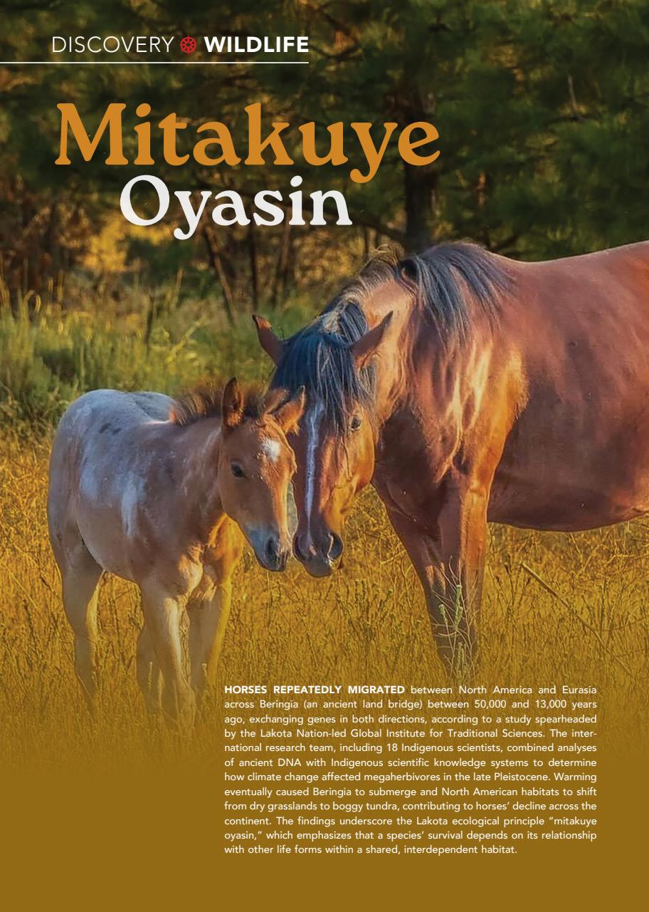 Canadian Geographic Preview Pages