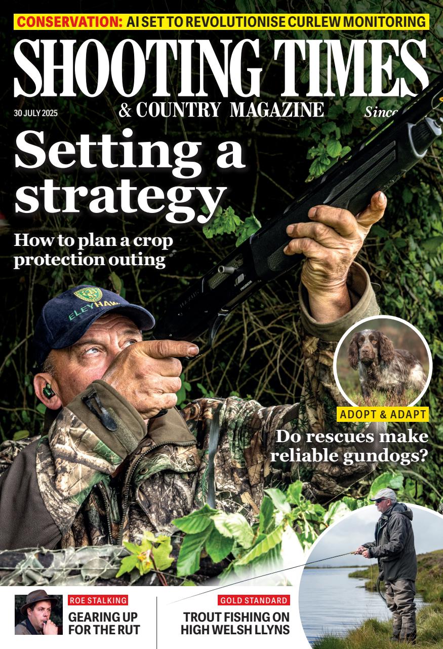 Shooting Times & Country Preview Pages