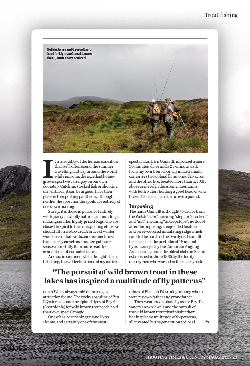 Shooting Times & Country Preview Pages