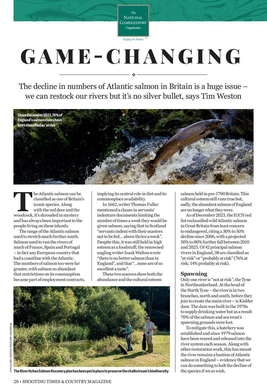 Shooting Times & Country Preview Pages