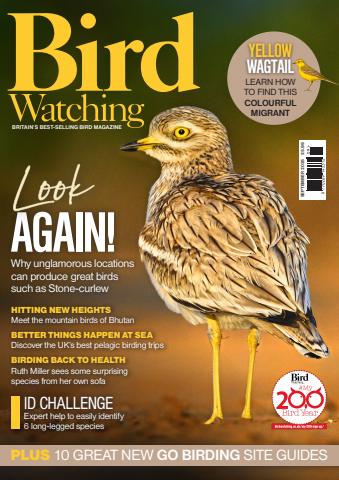 Bird Watching issue Sep-25