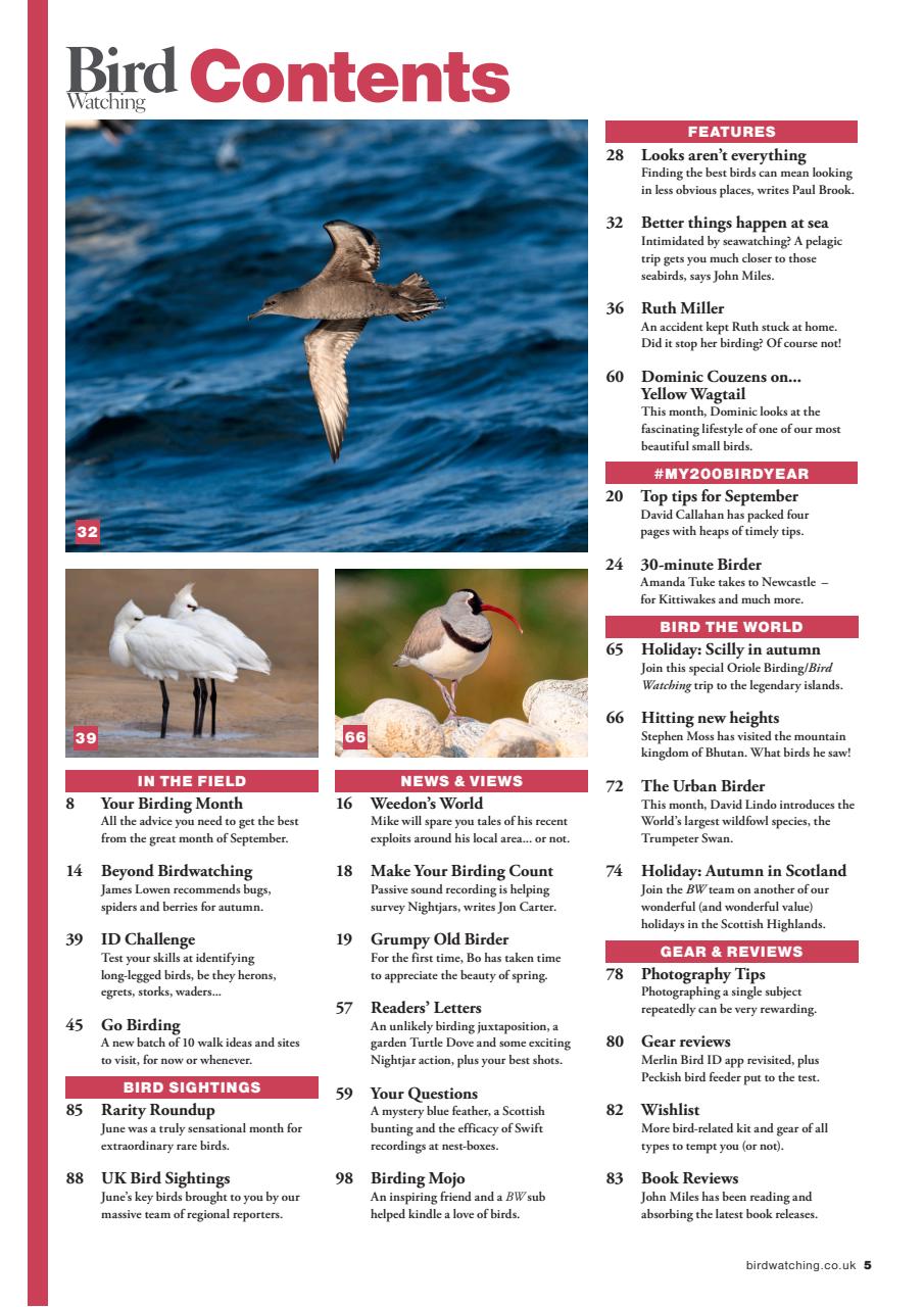 Bird Watching Preview Pages